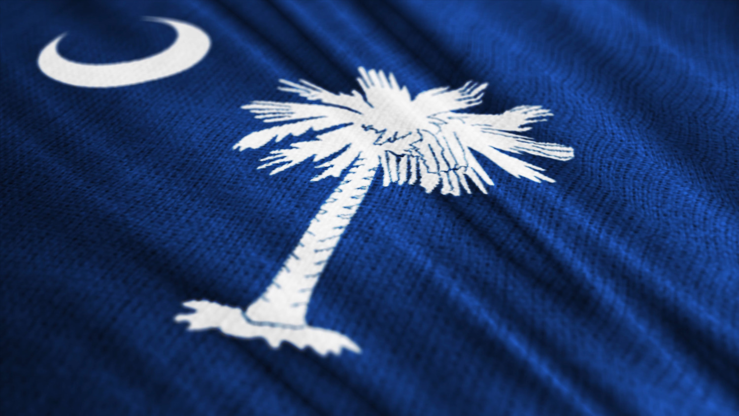 Elevating South Carolina a recap of SCPC’s achievements in 2023