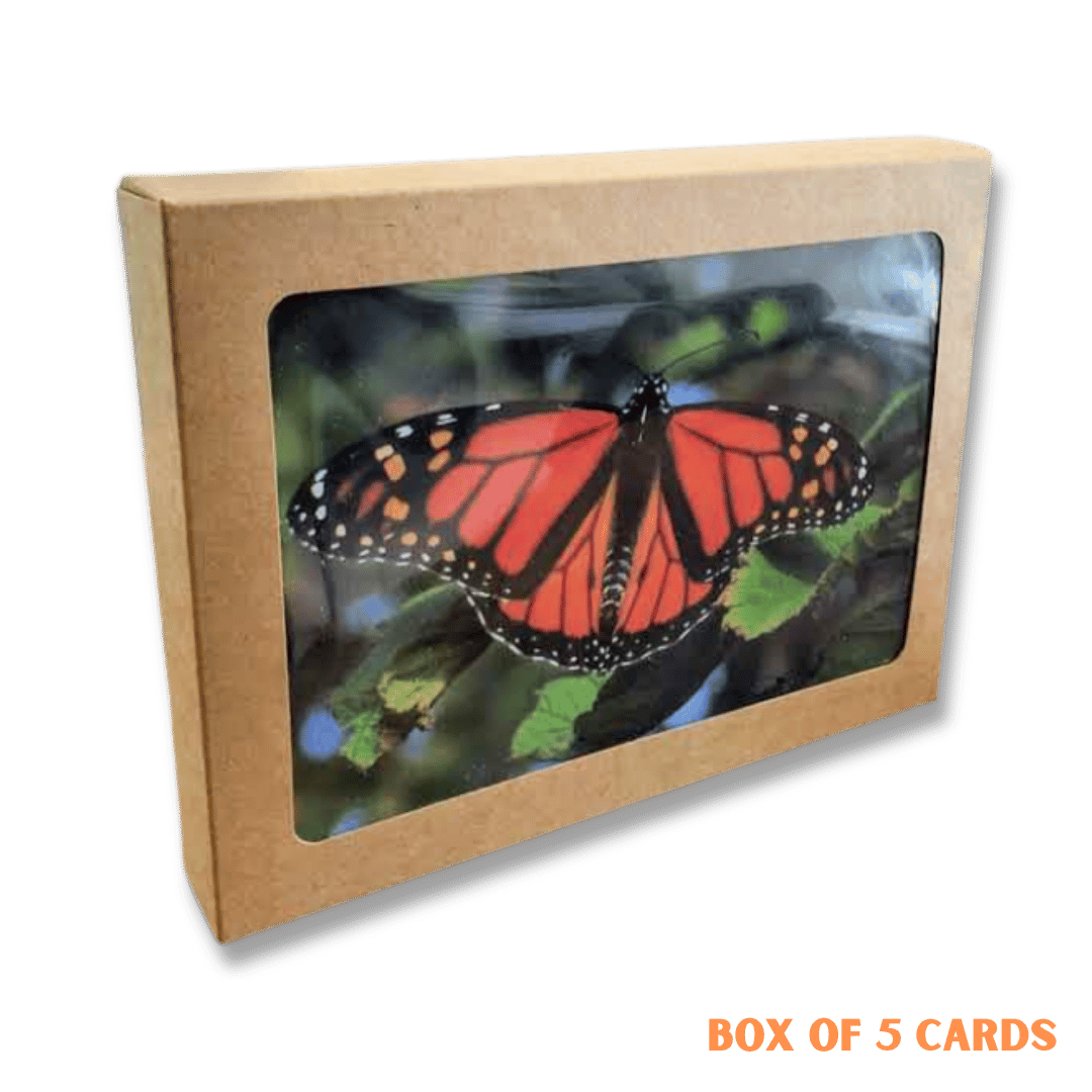 https://www.ssji.ca/shop_online#!/South-Shore-Educational-Cards/p/757220948