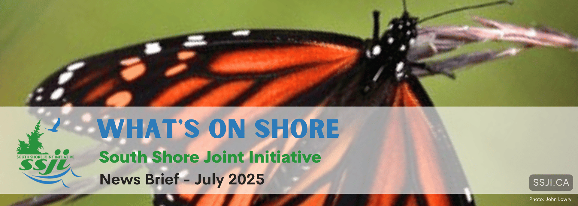 https://www.ssji.ca/monarch_day_2025