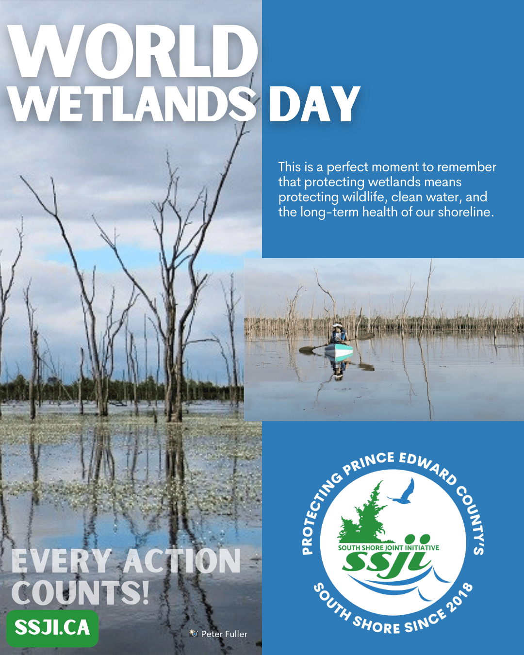 https://www.ssji.ca/the_importance_of_south_shore_s_coastal_wetlands