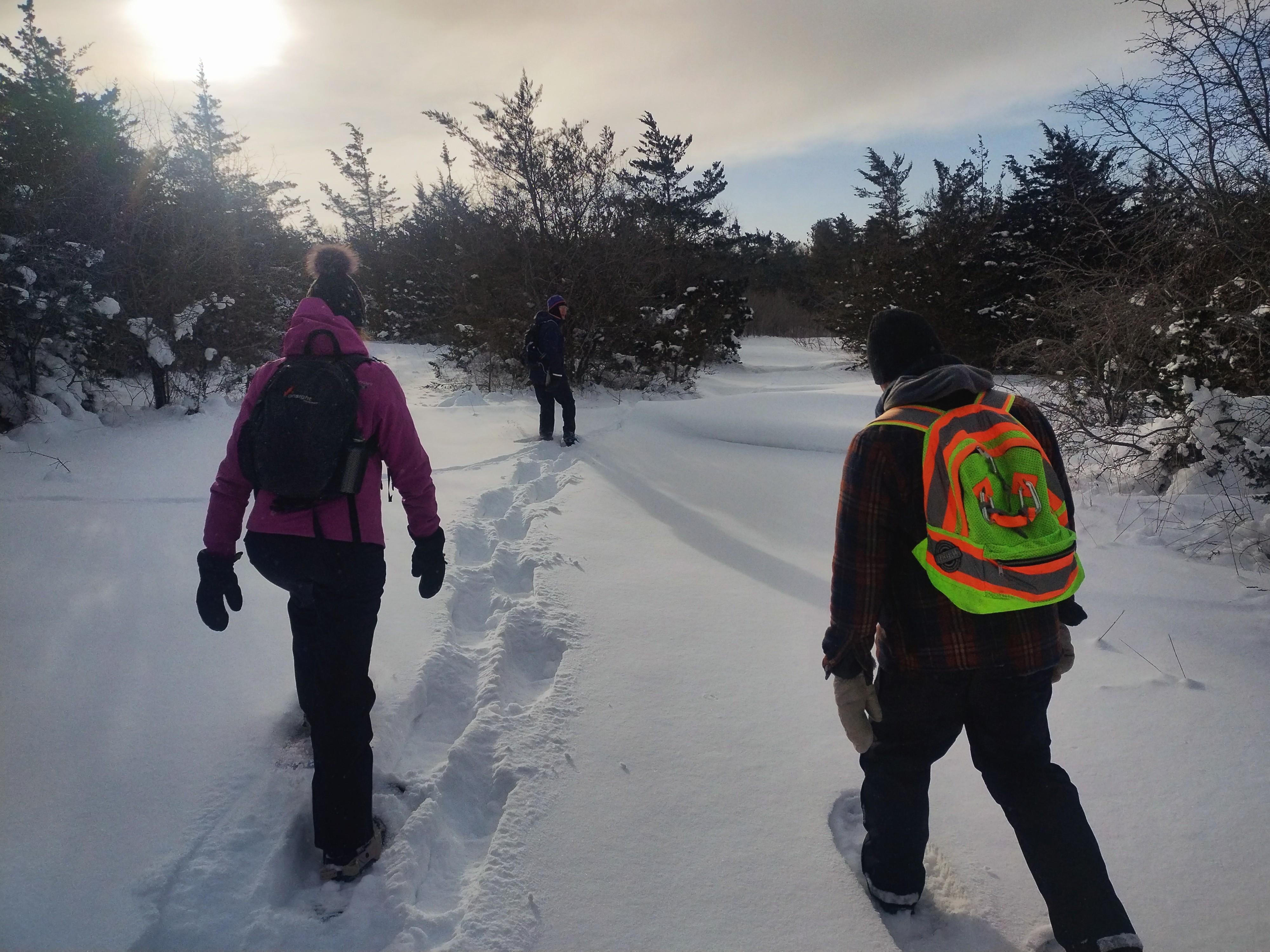 https://www.ssji.ca/south_shore_winter_walks-2026