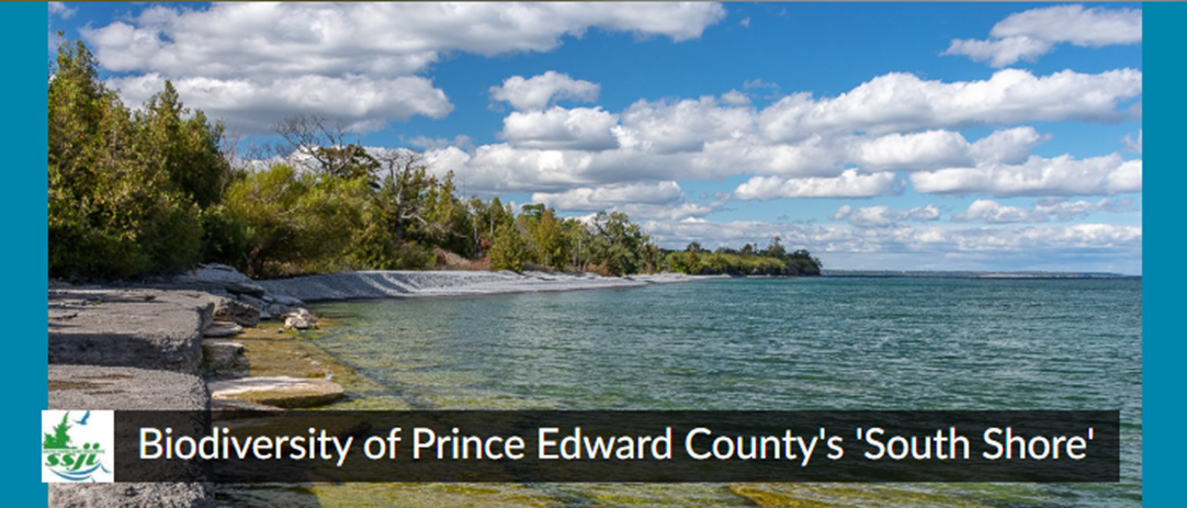 https://www.ssji.ca/ssji-inaturalist-project