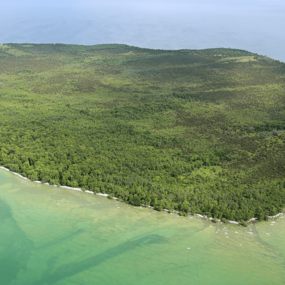 south-shore-events-south-shore-joint-initiative