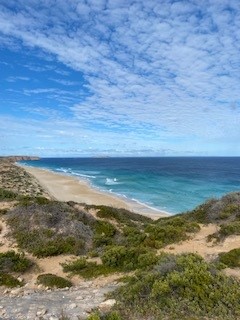 More support grants for Fishing and Marine sector 