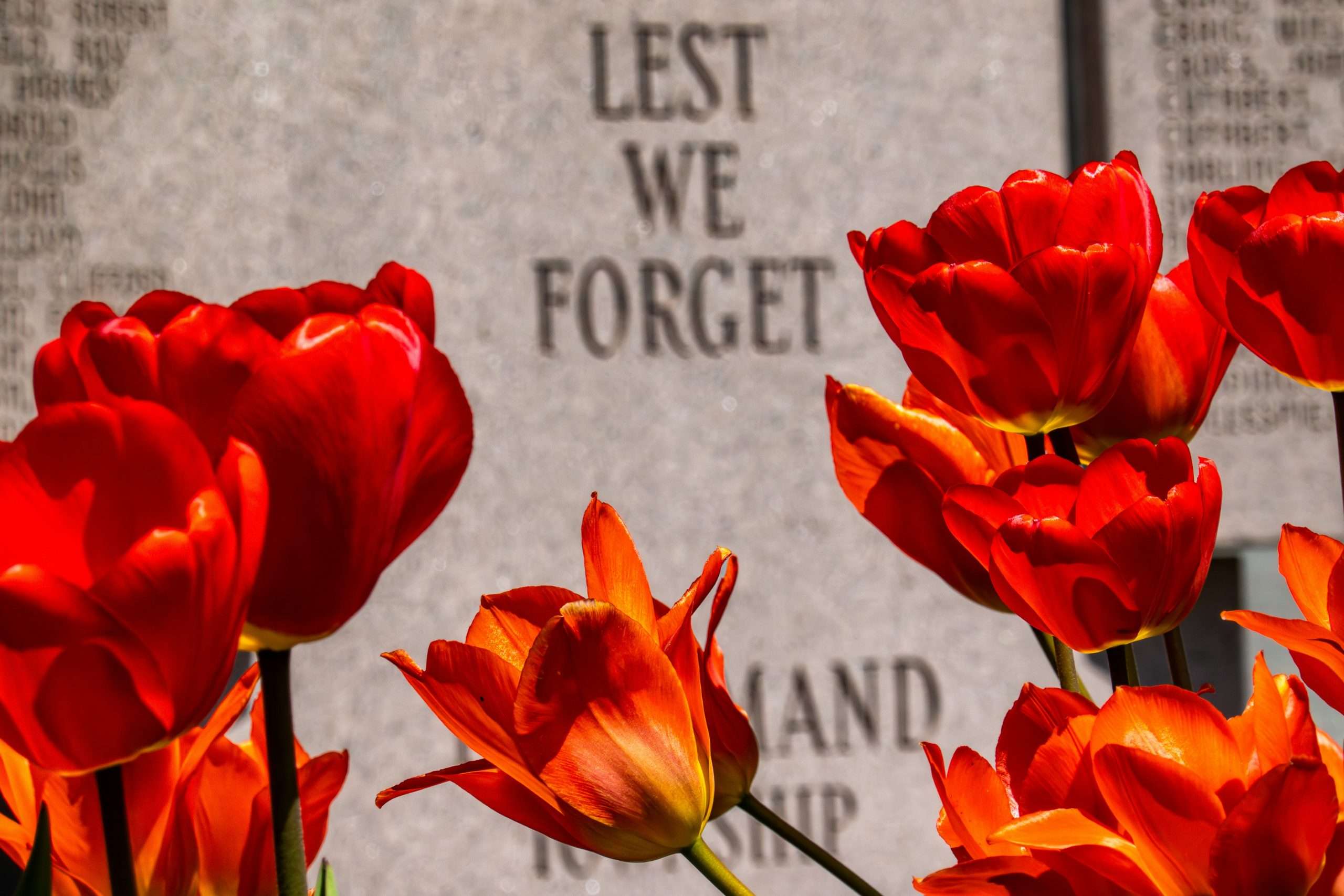 New Polling on Remembrance Day