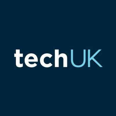 Polling for techUK on the UK Tech Sector