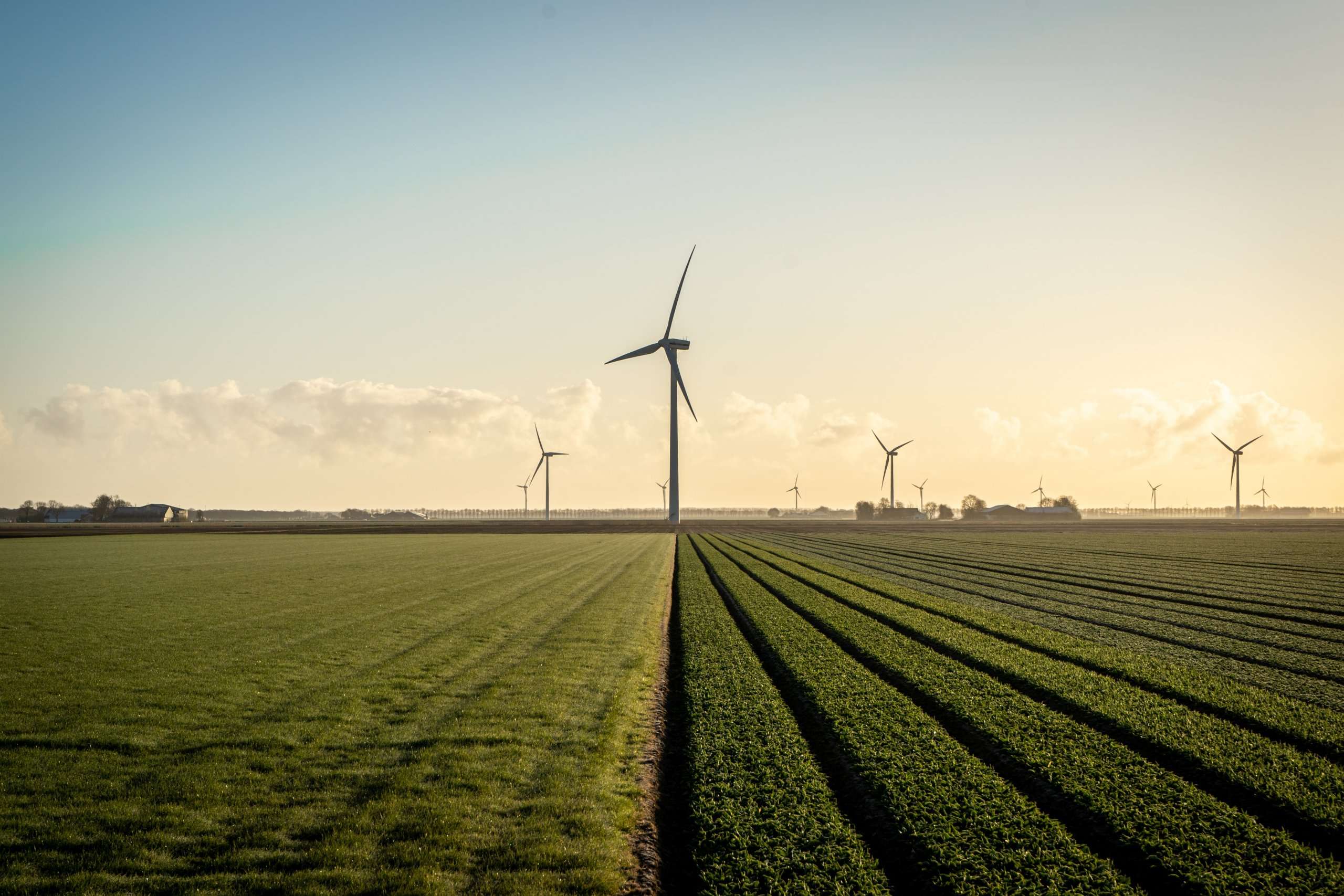 New polling on the UK public and local green energy development