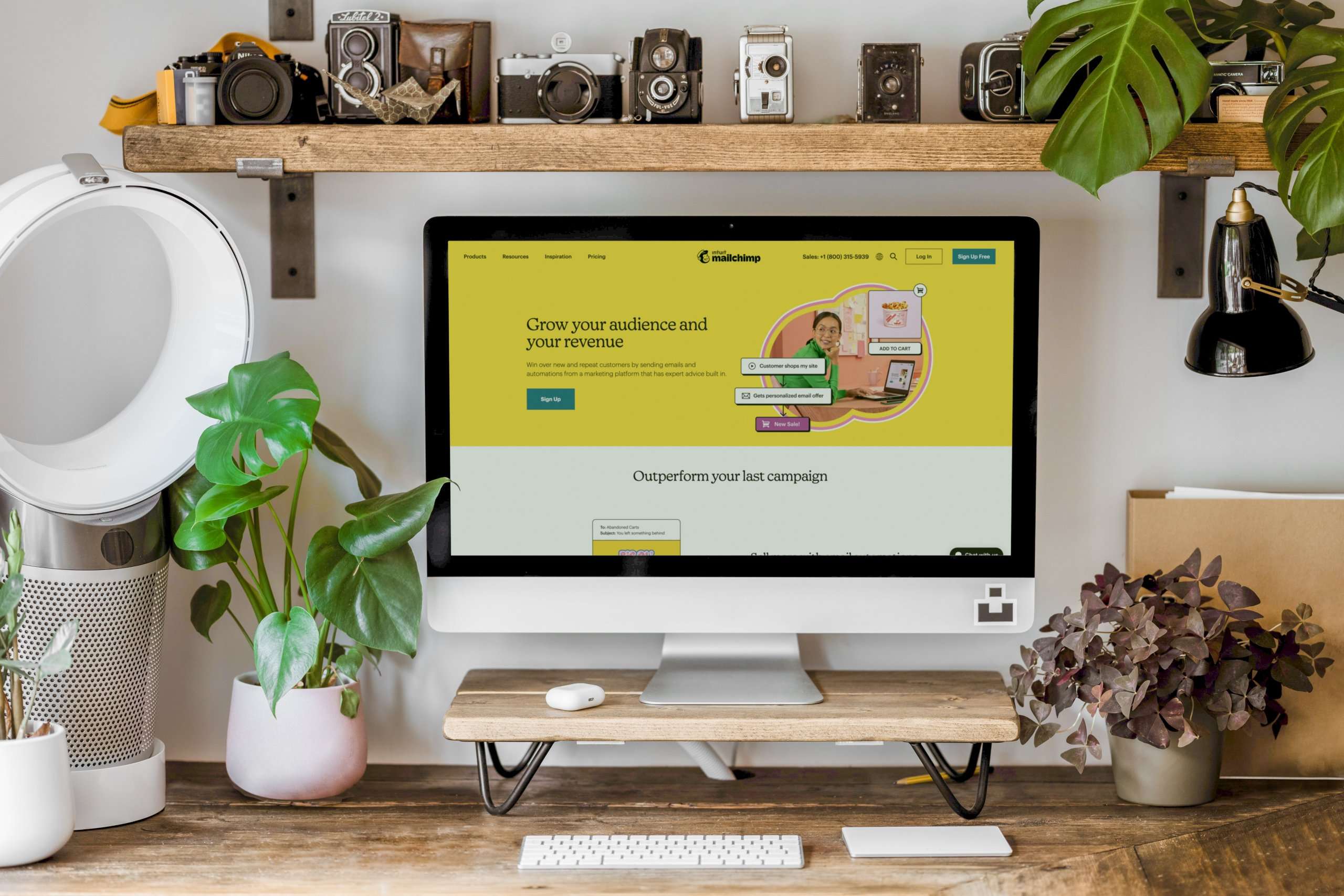 Empowering SMEs in the United States to embrace digital tools