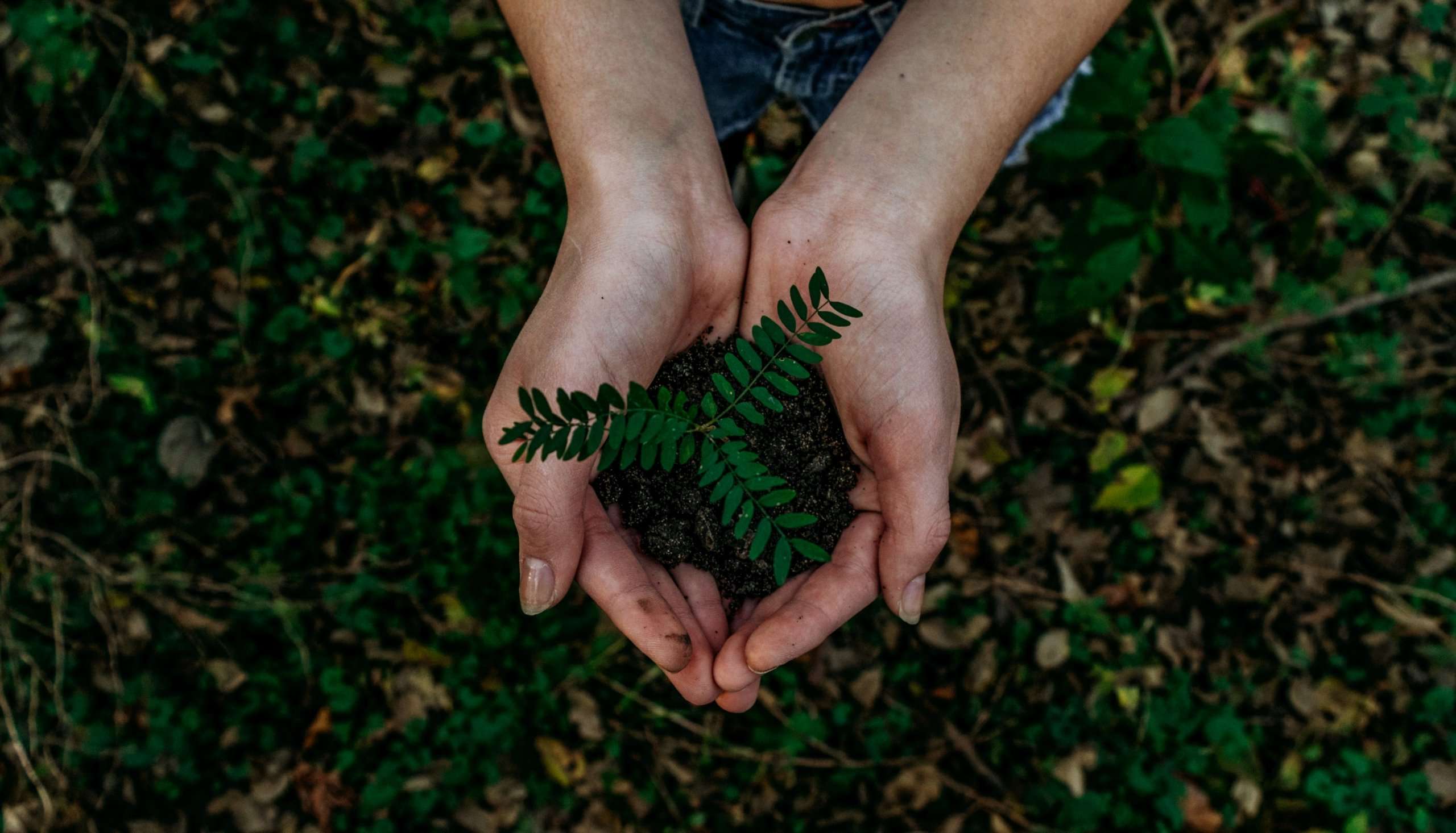 Sustainability Sentiment Tracker 2022
