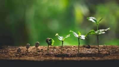 Polling on Climate Change and Sustainability Education