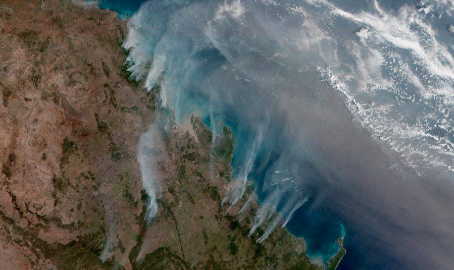 AIG DID YOU RENEW ADANI S INSURANCE OR NOT AIG DID YOU RENEW ADANI S INSURANCE OR NOT