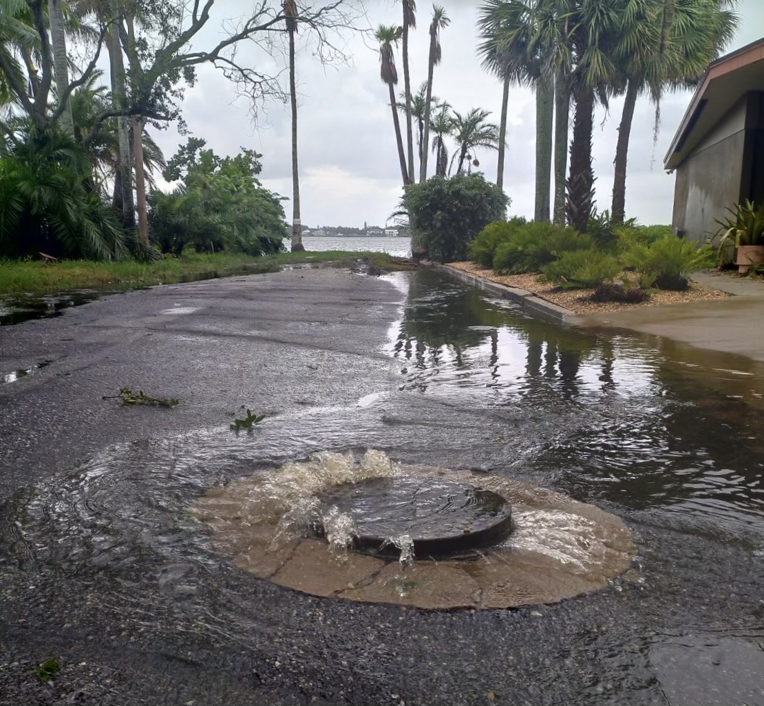 August 2024 Newsletter