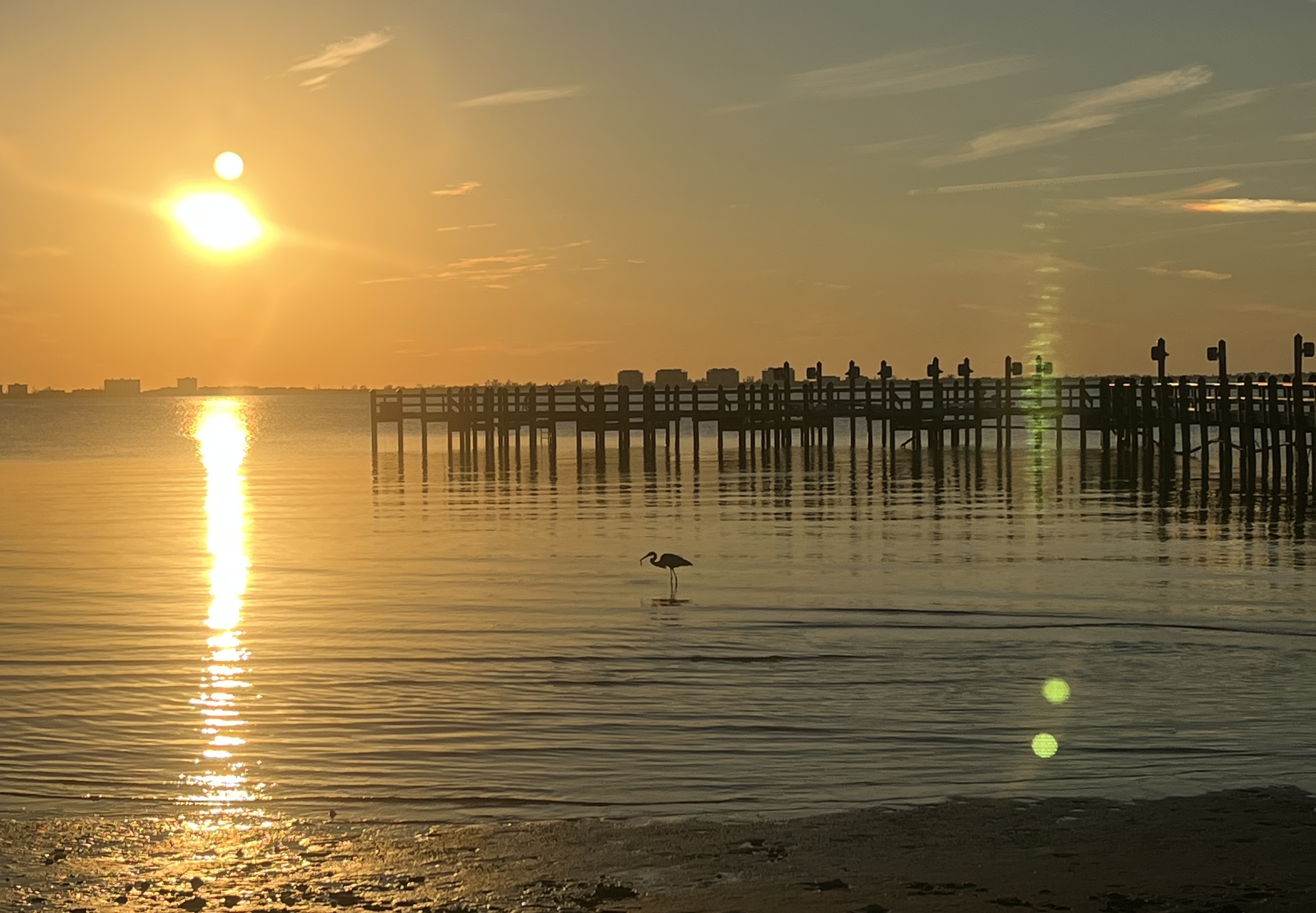 December 2024 Newsletter