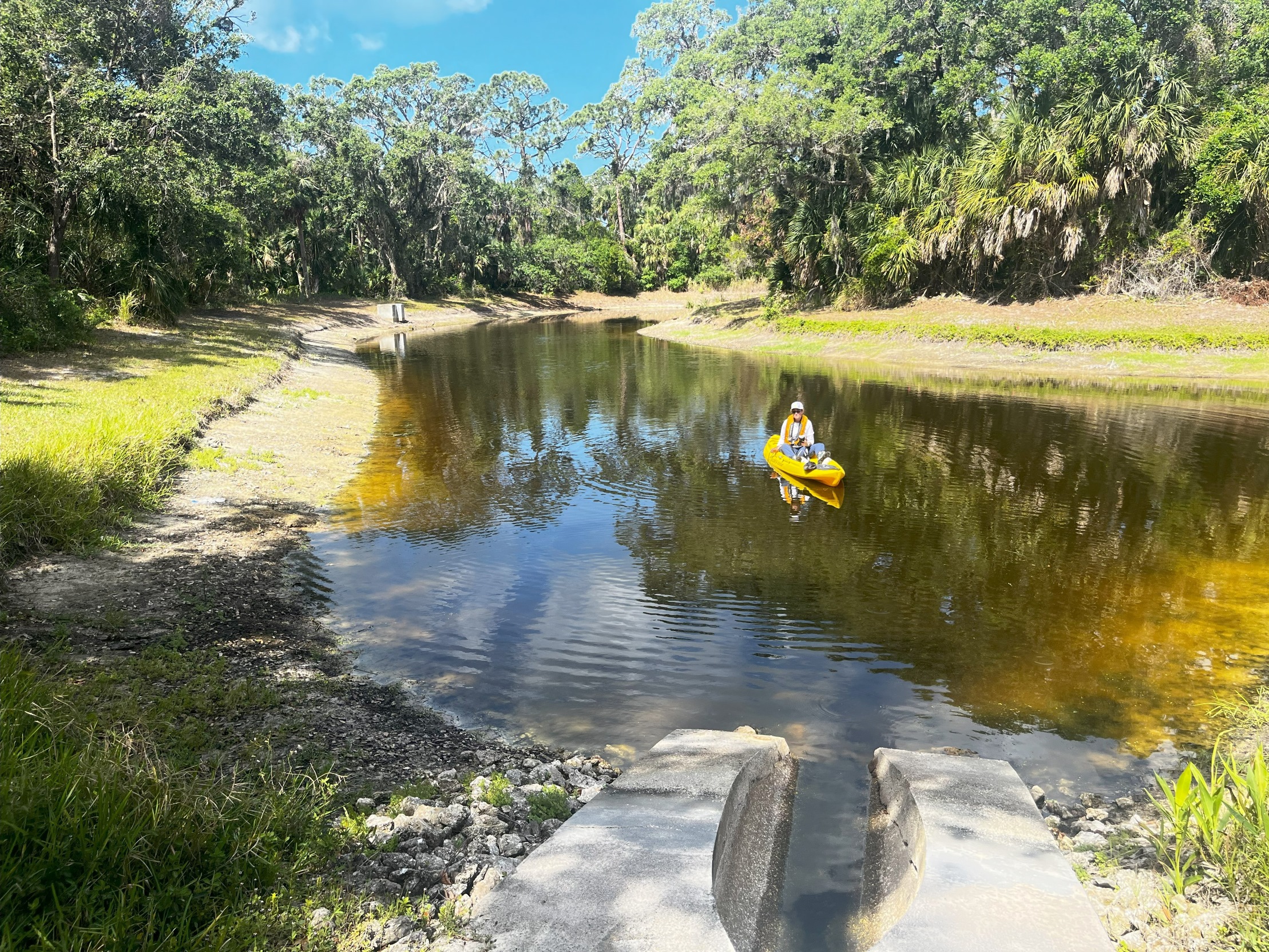 Healthy Pond Collaborative