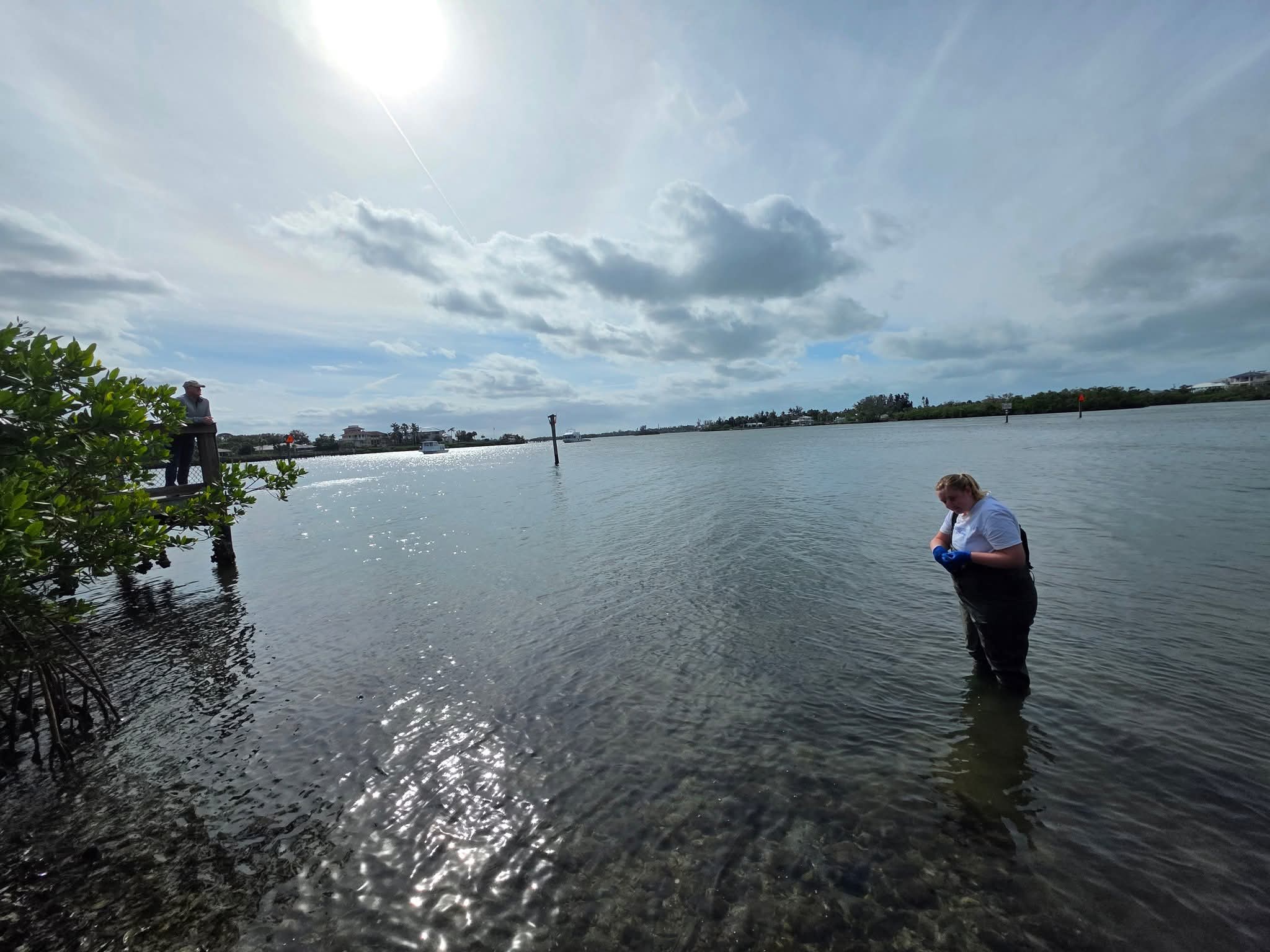 Is It Safe to Swim? Find Out Here: