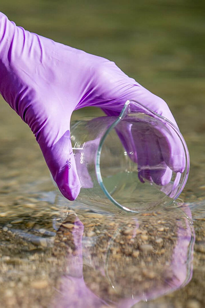 Is It Safe to Swim? Find Out Here: