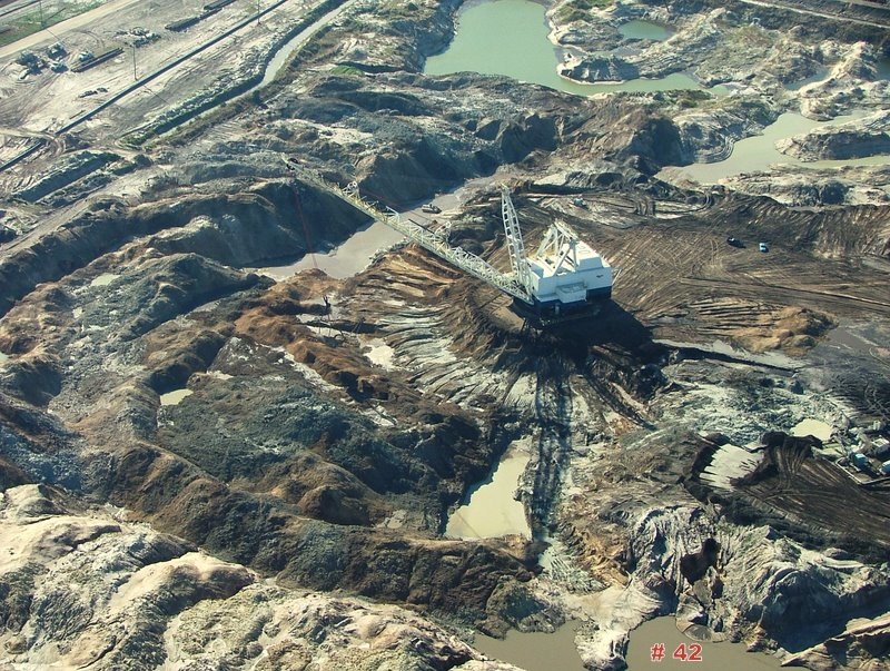 Image_1.jpg