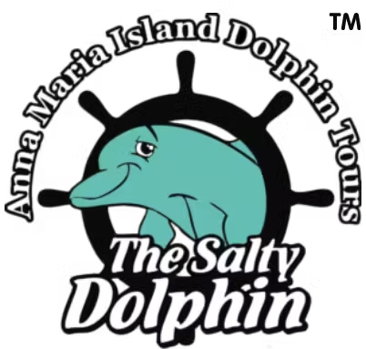  AMI_Dolphin_Tours.png
