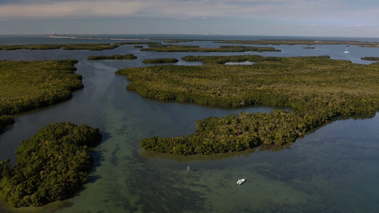 January 2026 Newsletter