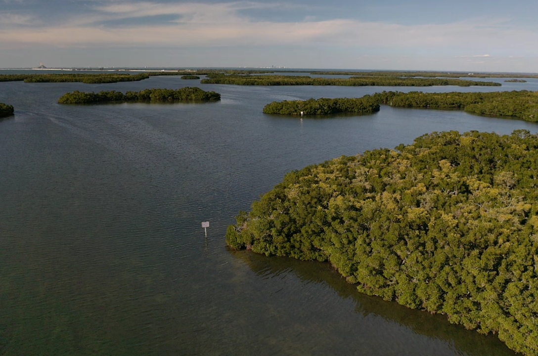 February 2026 Newsletter