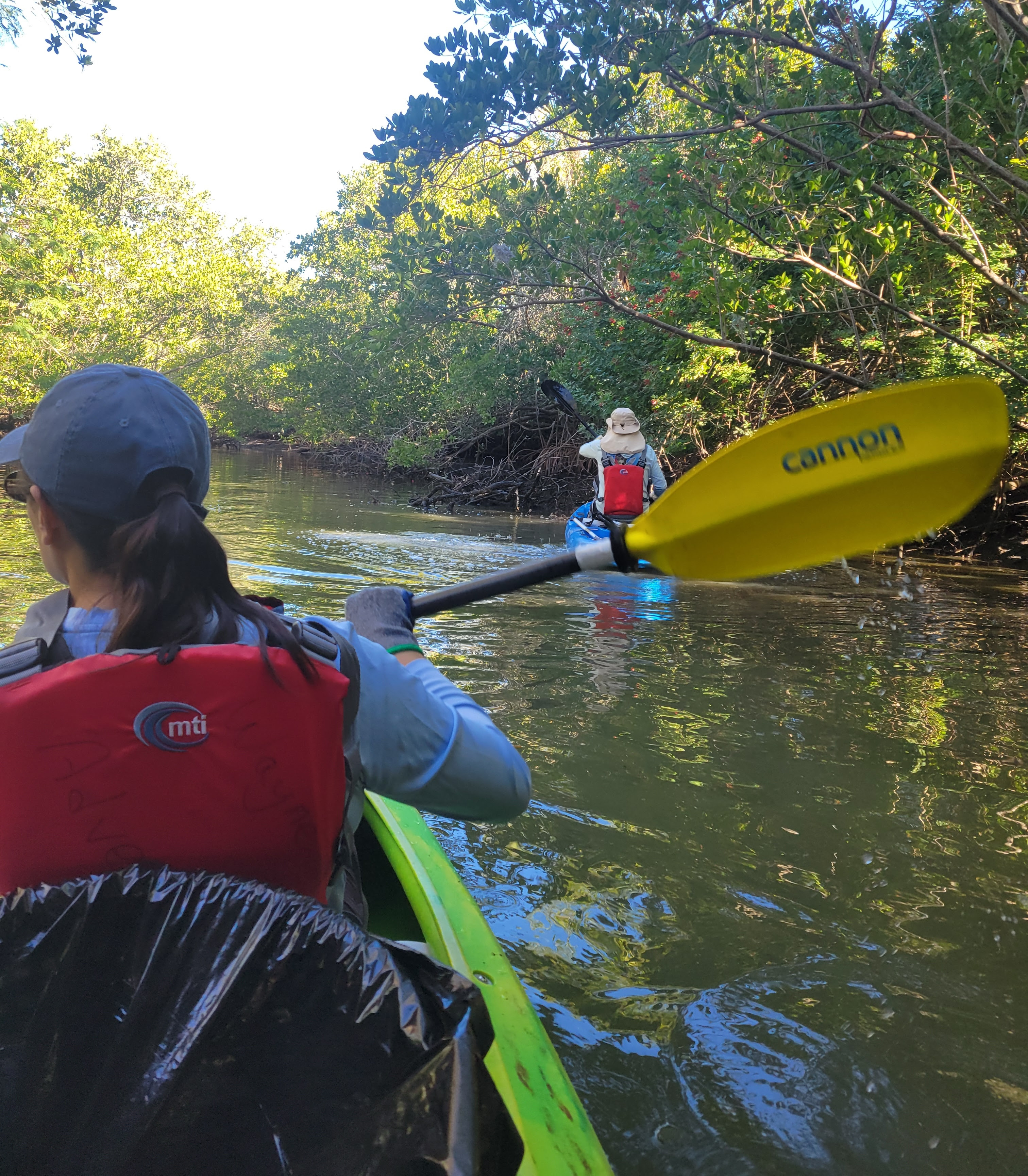 Braden River Cleanup 2026