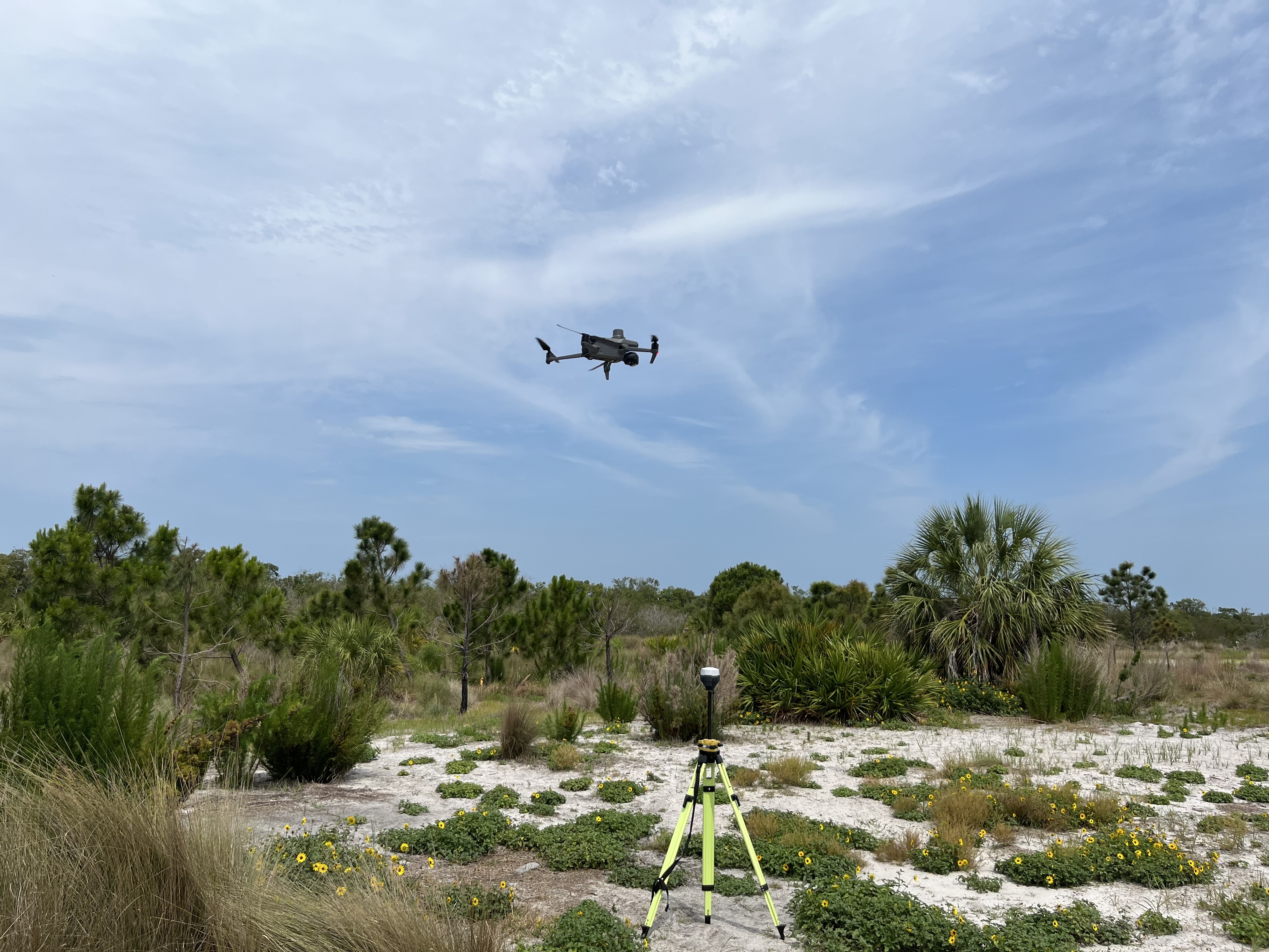 May 2026 Newsletter