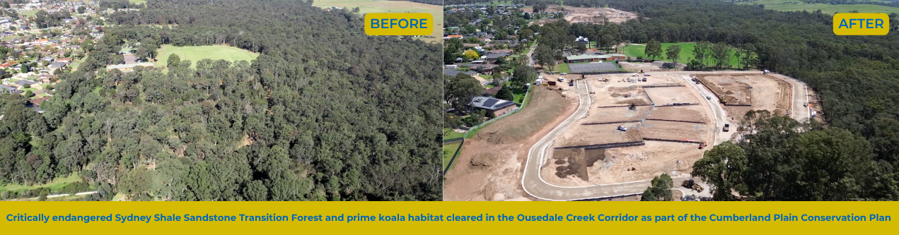 ousedale_clearing.png