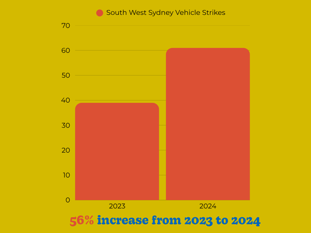 South West Sydney Koala Vehicle strike