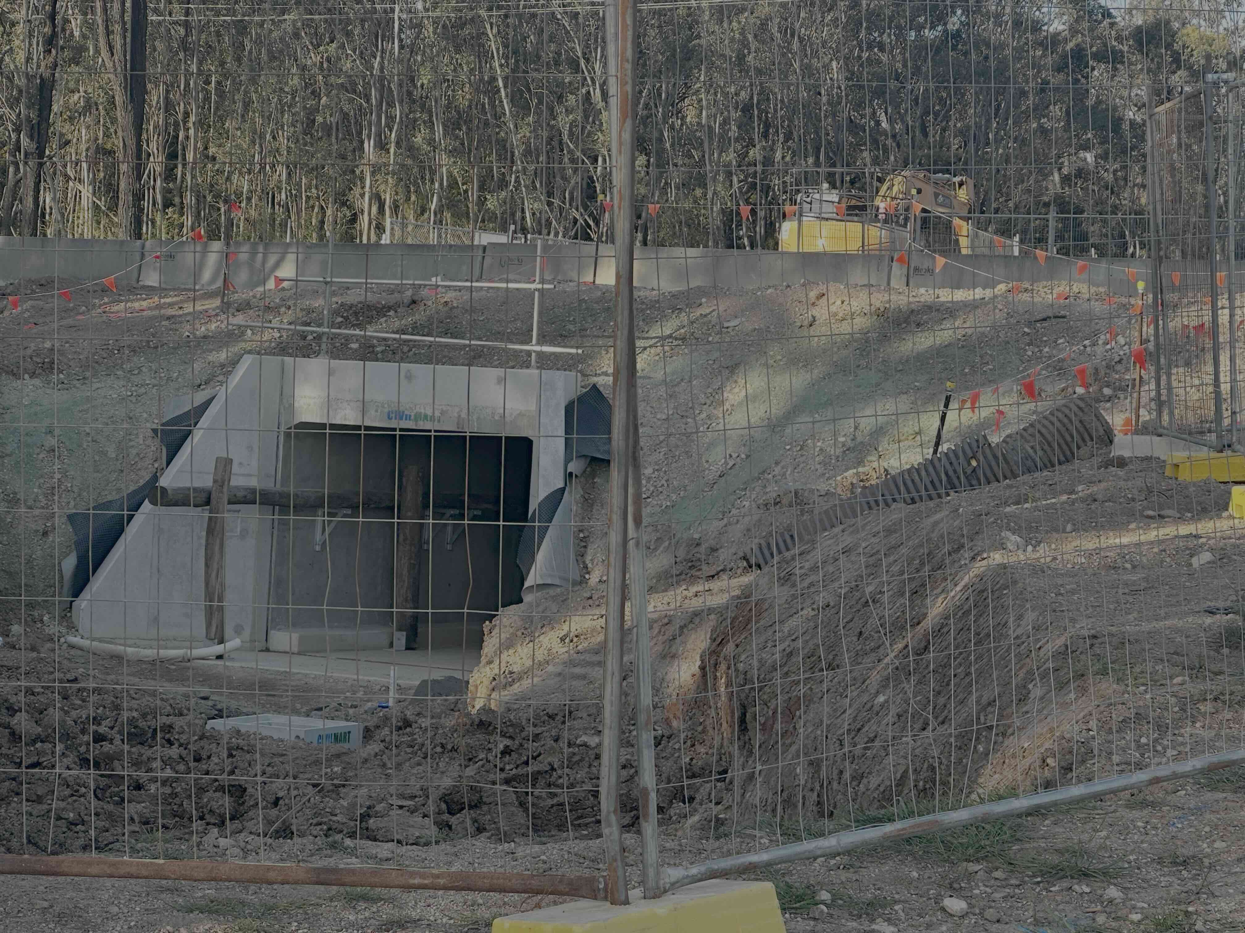 Glen Lorne Koala underpass