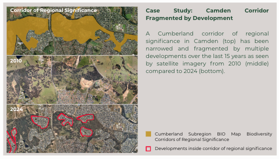 Camden Koala Corridor Case Study