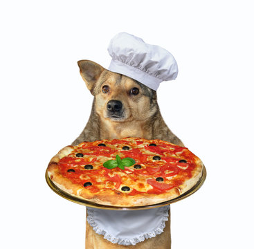 Pizza Party