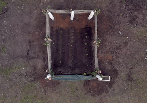 From above From above