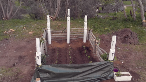 Kumara Garden Kumara Garden