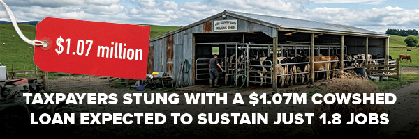Taxpayers milked for $1.07m cowshed
