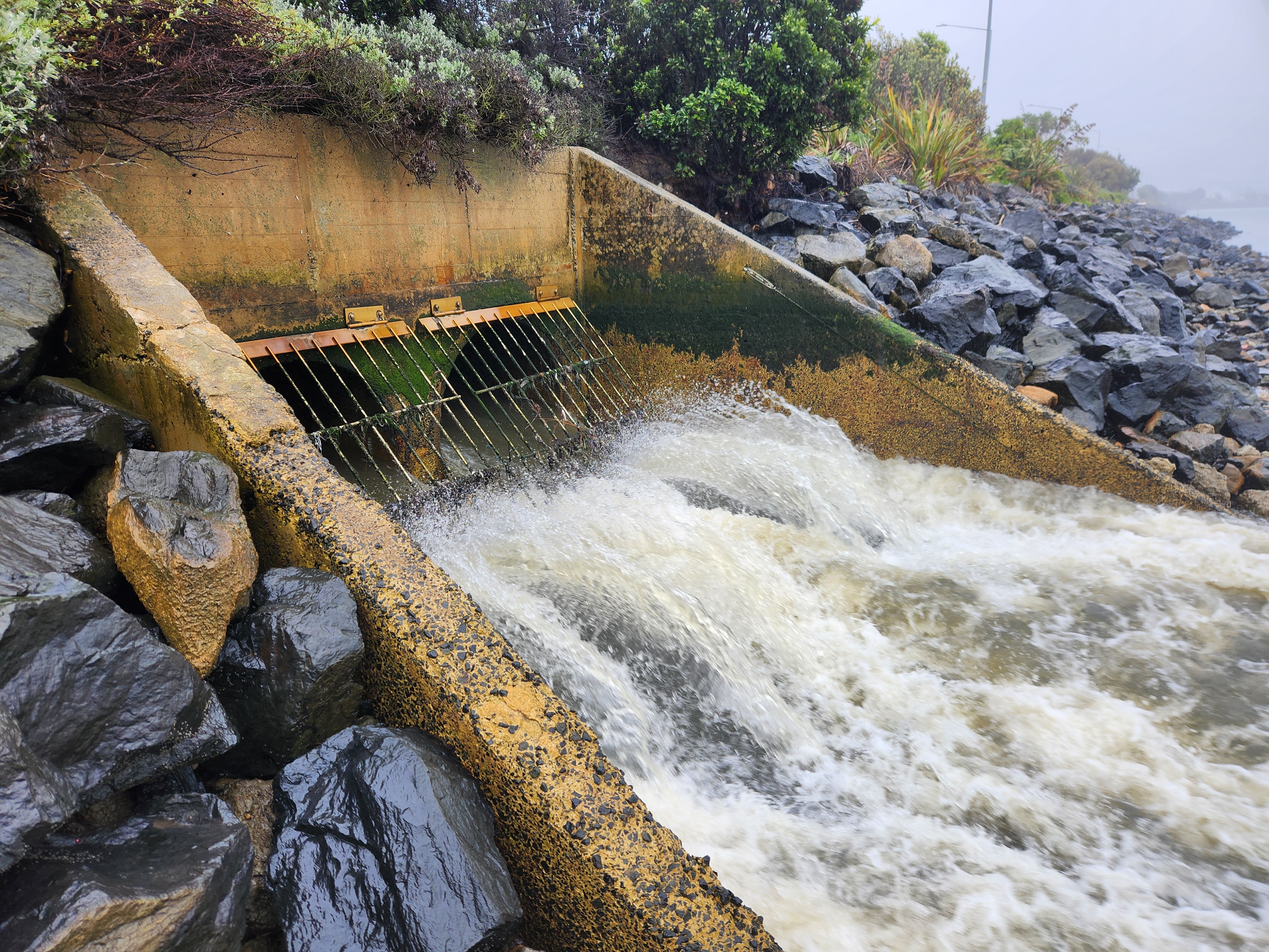 Stormwater outlet from Portobello Rd Pumping Station