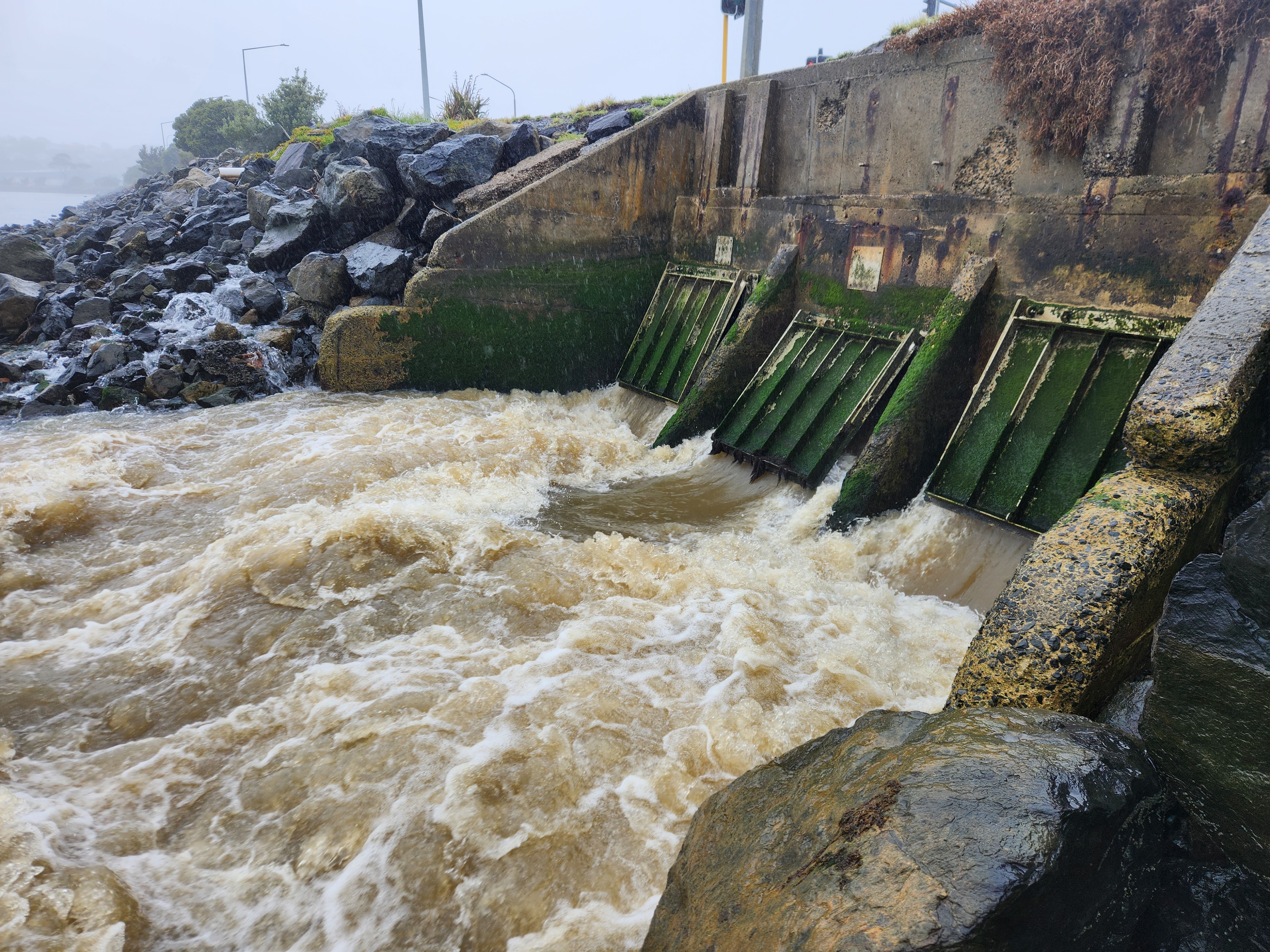 Stormwater Outlet at Orari St 