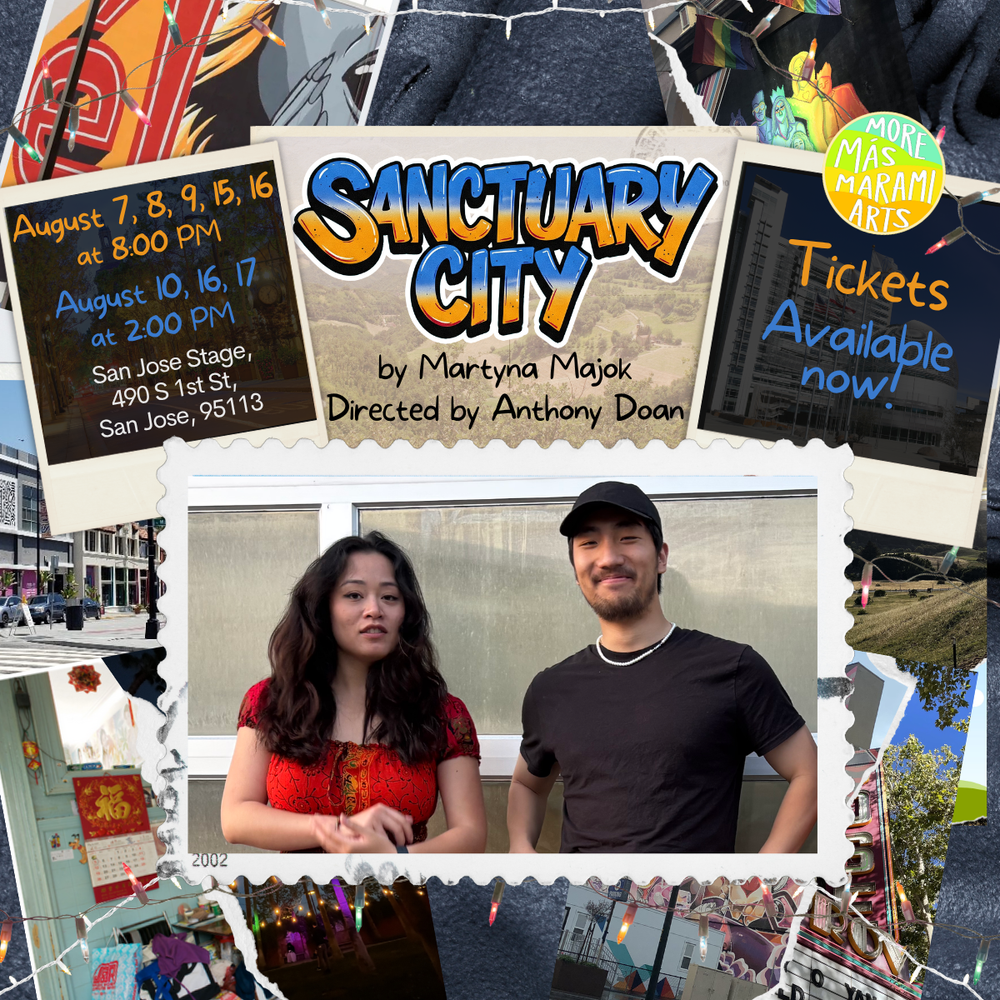 Sanctuary City graphic