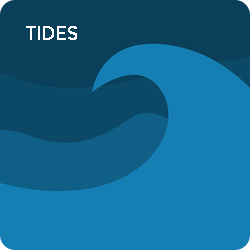 wave_rounded.png
