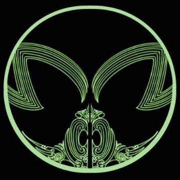Ngāti Gaming's profile picture