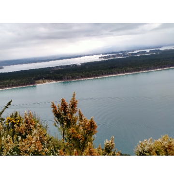 Nga mokopuna o te kohu's profile picture