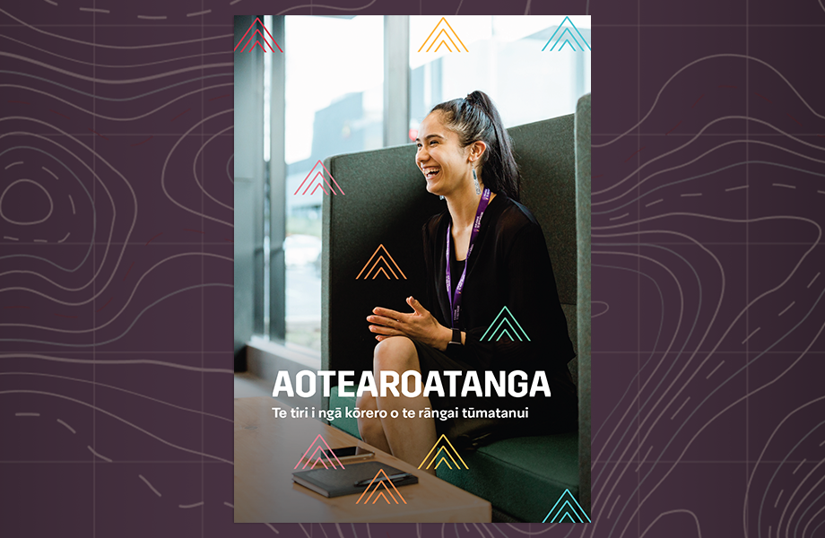 Stories of te Reo Toolkete preview image 2