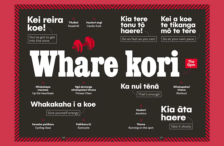 Hākinakina Booklet  PRINT preview image