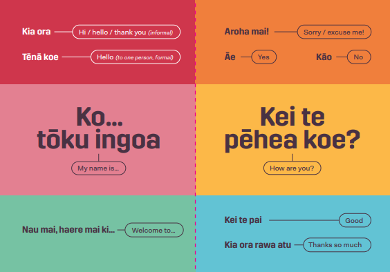 Give Te Reo a Go preview image