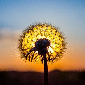 Jeannie's profile picture