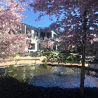 Village at the Park