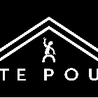 Te Pou Theatre