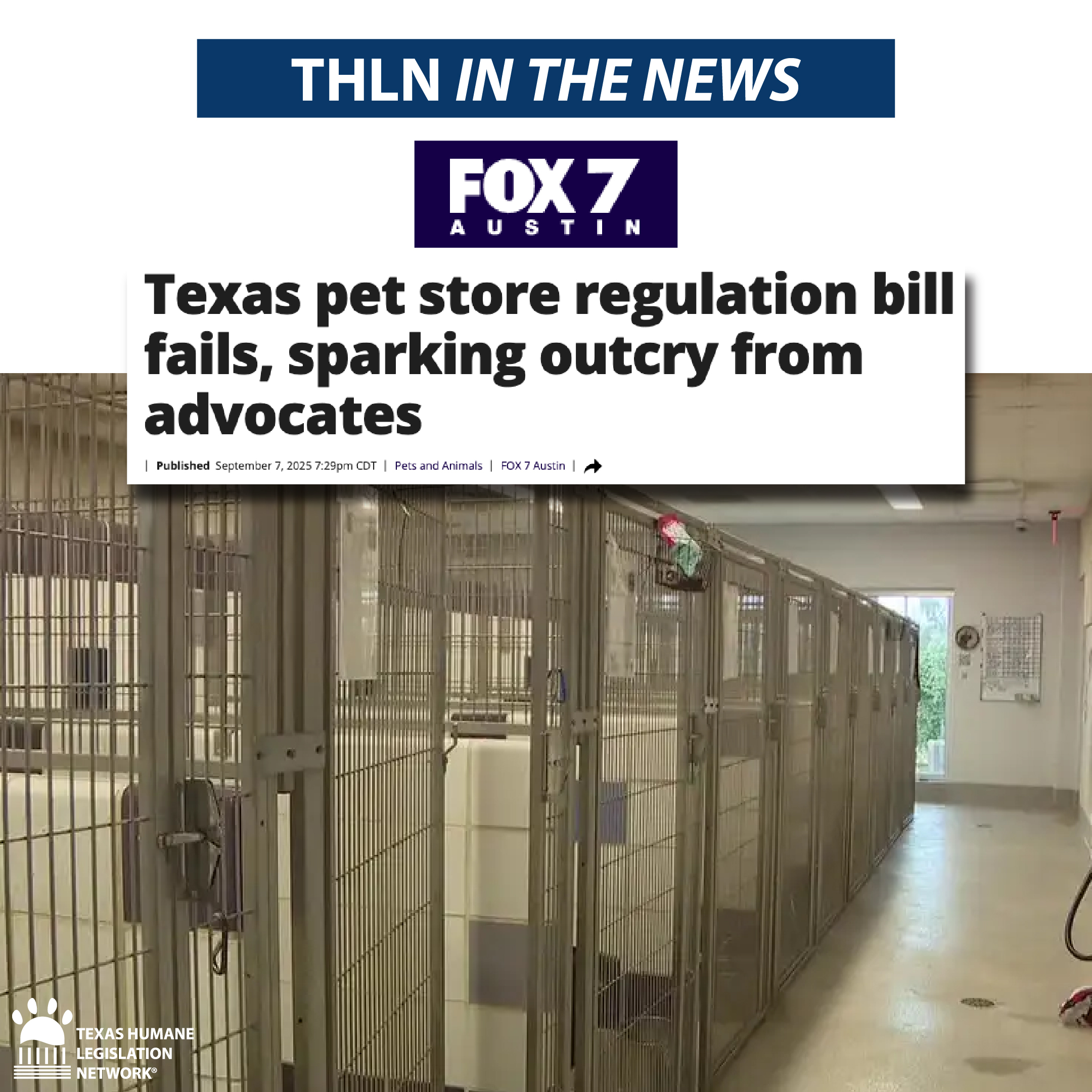Texas pet store regulation bill fails, sparking outcry from advocates
