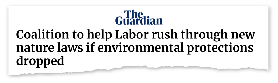 Tearout-Guardian-naturelaws.png