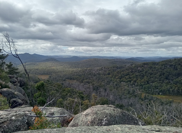 Wattleridge Indigenous Protected Area, NSW. Photo: Banbai Rangers.
