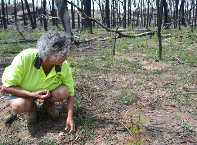 From Rabbit Shearer to Ranger, Aunty Lesley has had a colourful life. Photo: Michelle McKemey.